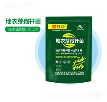 地衣芽孢桿菌-豐本生物