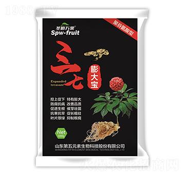 �������-ʥ���f��-����Ԫ��