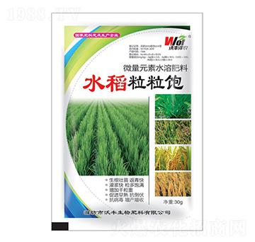 水稻粒粒飽-沃豐澤農-沃豐生物