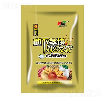 �����o�K�����-���S��