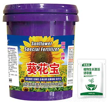 葵花寶-芭姆卡-第五元素