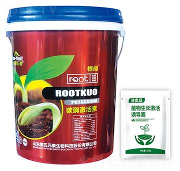 碳酶激活素-根闊-第五元素