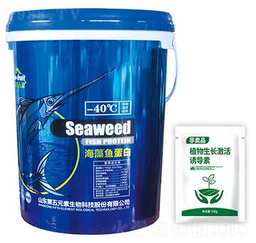 海藻魚蛋白-第五元素