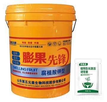 膨果先鋒-第五元素