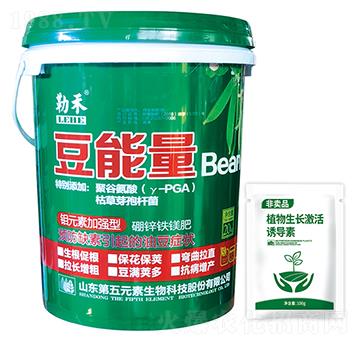 豆能量-勒禾-第五元素