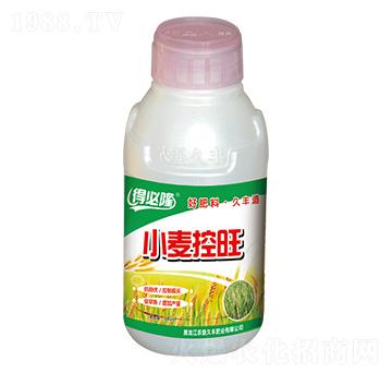 小麥控旺肥料-得必隆-農(nóng)墾久豐