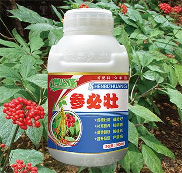 參必壯-得必隆-農(nóng)墾久豐