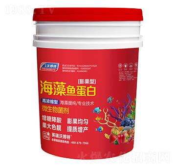 海藻魚蛋白（膨果型）-英瑞沃博特