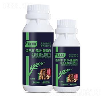 ���K�o�������ġ��~����-�~��(l��)�S-Ӣ���ֲ���