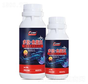 ���ġ��~����-Ӣ���ֲ���