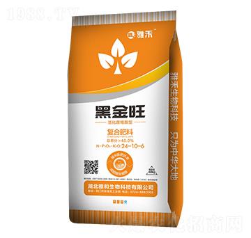 �ڽ����ͺϷ���24-10-6-���S�ʘI(y��)