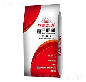 �҄P֮���ͺϷ���24-10-6-���S�ʘI(y��)