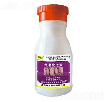 紅薯化控素-晟邦生物