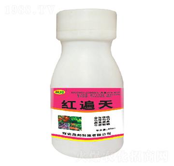 紅遍天-晟邦生物