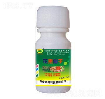 花果仙子-晟邦生物