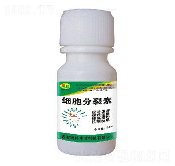 細(xì)胞分裂素-晟邦生物