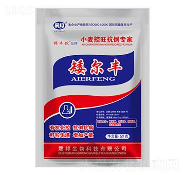 矮爾豐小麥控旺抗倒專家-晟邦生物