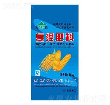 ���׌��Ï�(f��)�����22-11-12-�G����