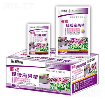 �߻��ڷ����������У�-