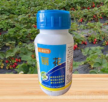 ����-�𲮘�