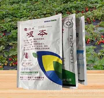 根本組合-金伯樂(lè)