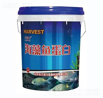 海藻魚(yú)蛋白-蘭普力