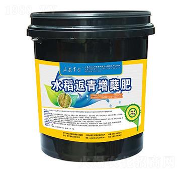 水稻返青增蘗肥（20kg）-云臺(tái)