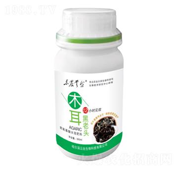 木耳黑老頭-云臺(tái)