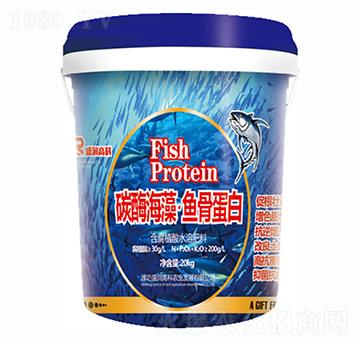 ̼ø���塤�~(y��)�ǵ���-ʢ��(r��n)�߿�