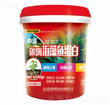 ̼ø�����~(y��)����-��ʢ-ʢ��(r��n)�߿�