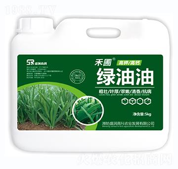 �G����-ʢ��(r��n)�߿�