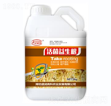 ���������-ʢ��(r��n)�߿�