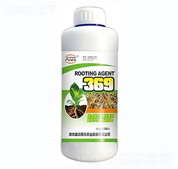 369-ʢ���߿�