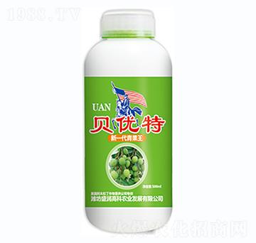 ؐ��(y��u)��-ʢ���߿�