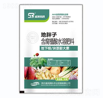 含腐植酸水溶肥料-地胖子-盛潤高科