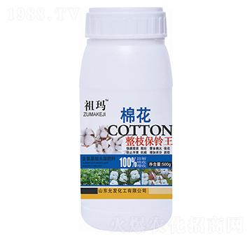 �޻���֦���?f��)?�欔-�ʰl(f��)����