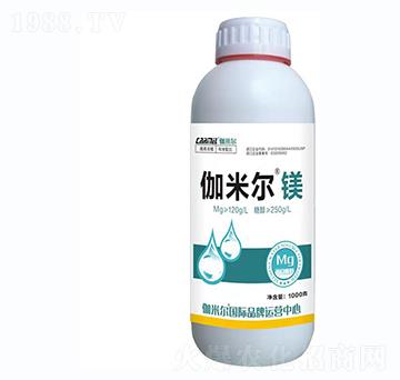 ٤�נ��V-�_˼ķ