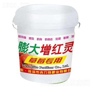 草莓專用膨大增紅靈-吉力特肥業(yè)