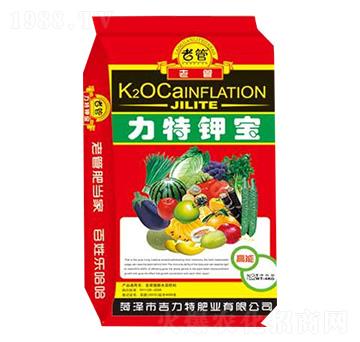 ����⛌�-�����طʘI(y��)