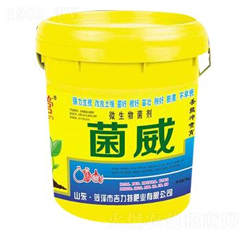 ����΢�������-�����طʘI(y��)