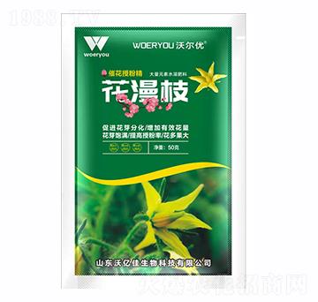 �߻��ڷ۾�-����֦������-�֠���(y��u)