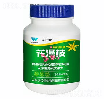 �߻��ڷ۾�-����֦��400�ˣ�-�֠���(y��u)