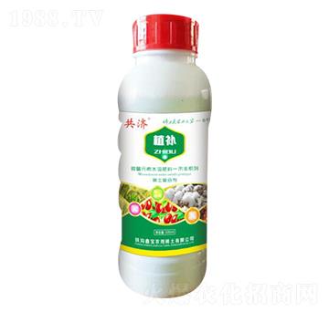 植補-共濟-鑫寶