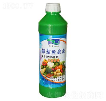 郁蘢魚皇金-郁蘢生物