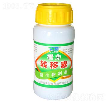 活力轉(zhuǎn)移素-郁蘢生物