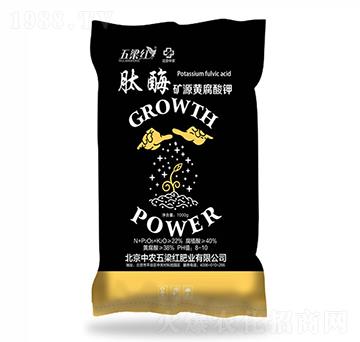 肽酶礦源黃腐酸鉀-五梁紅