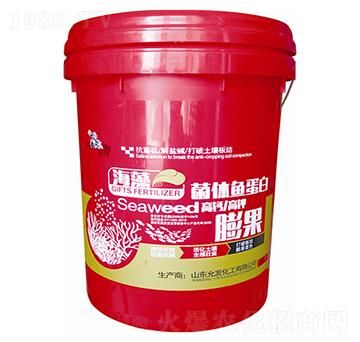 ������w�~(y��)����-�欔-�ʰl(f��)����