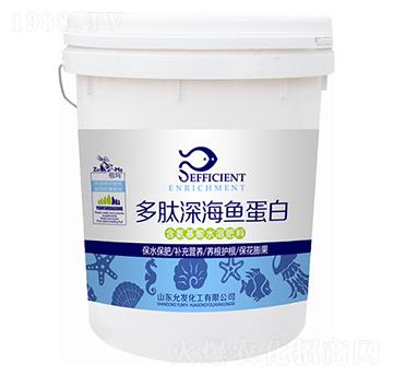 ������~(y��)����-�欔-�ʰl(f��)����