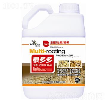 �����-�欔-�ʰl(f��)����