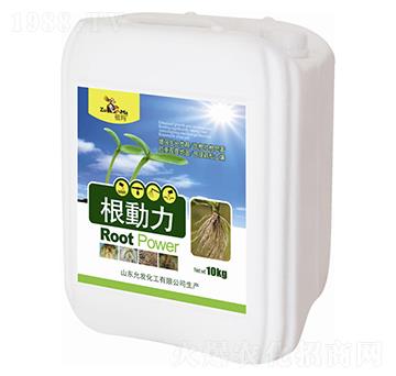 ����(d��ng)��-�欔-�ʰl(f��)����